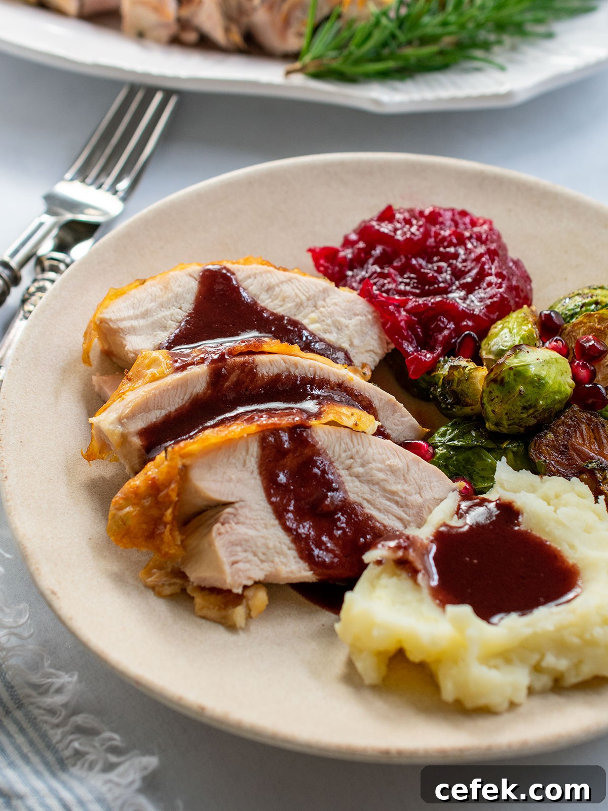 Plate of Thanksgiving food including dry brine turkey breast with pomegranate gravy and a platter of turkey in the background.