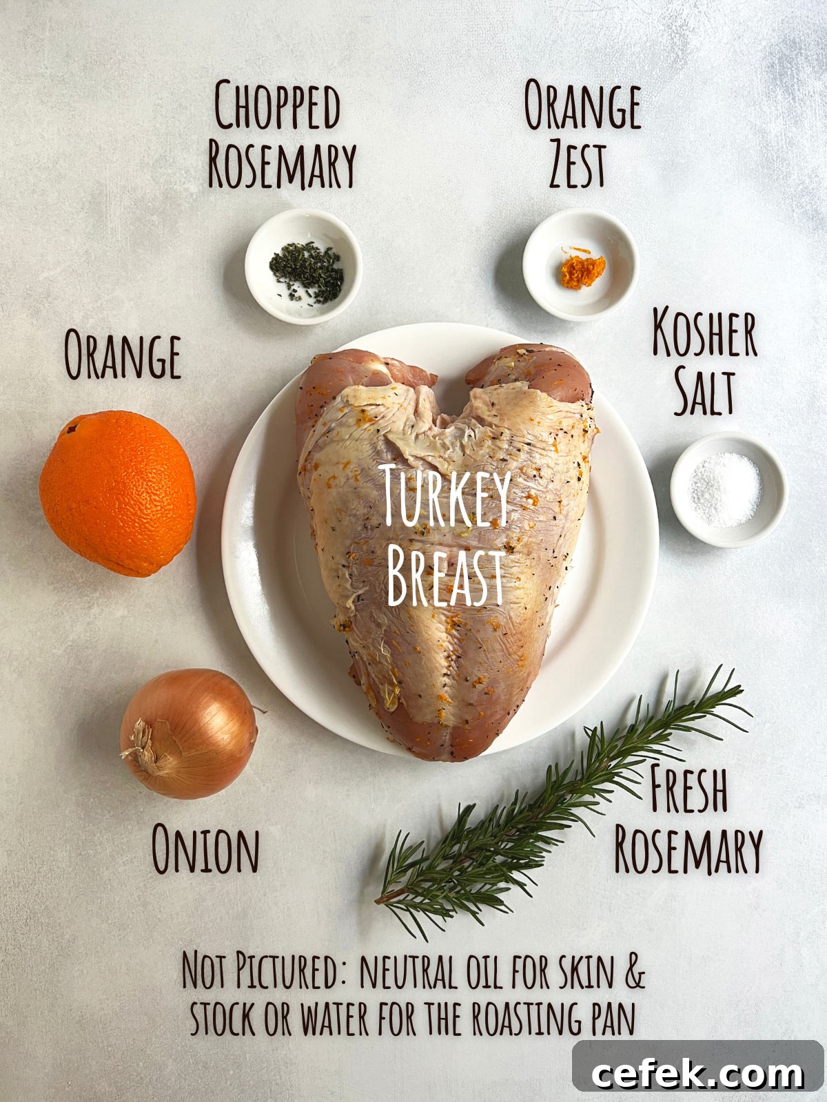 Ingredient shot for dry brine turkey breast showing turkey, salt, orange, rosemary and onion.