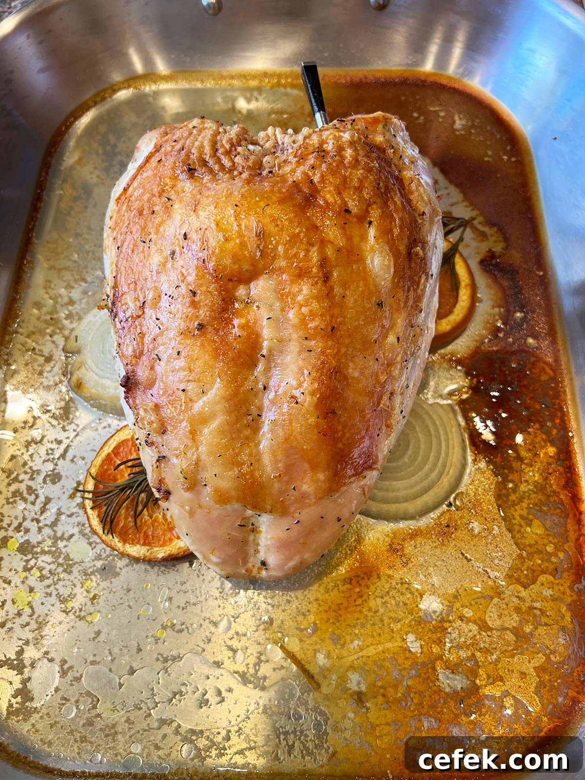 Turkey breast roasted in pan but out of the oven with the probe still inserted.