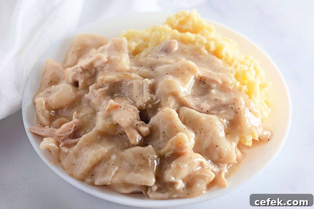 A bowl of chicken and dumplings.