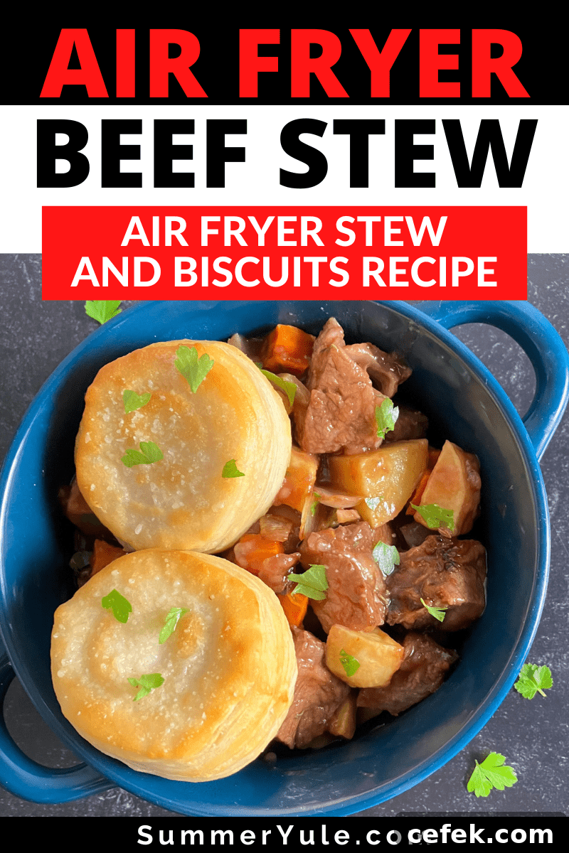 air fryer stew