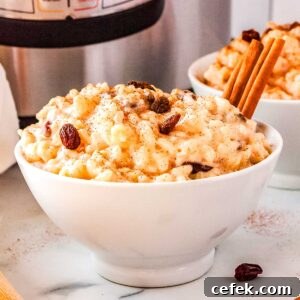 A bowl of instant pot rice pudding garnished with ground cinnamon.