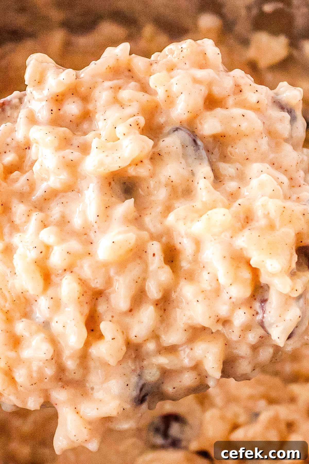 A serving spoon picking up some of the finished instant pot rice pudding.