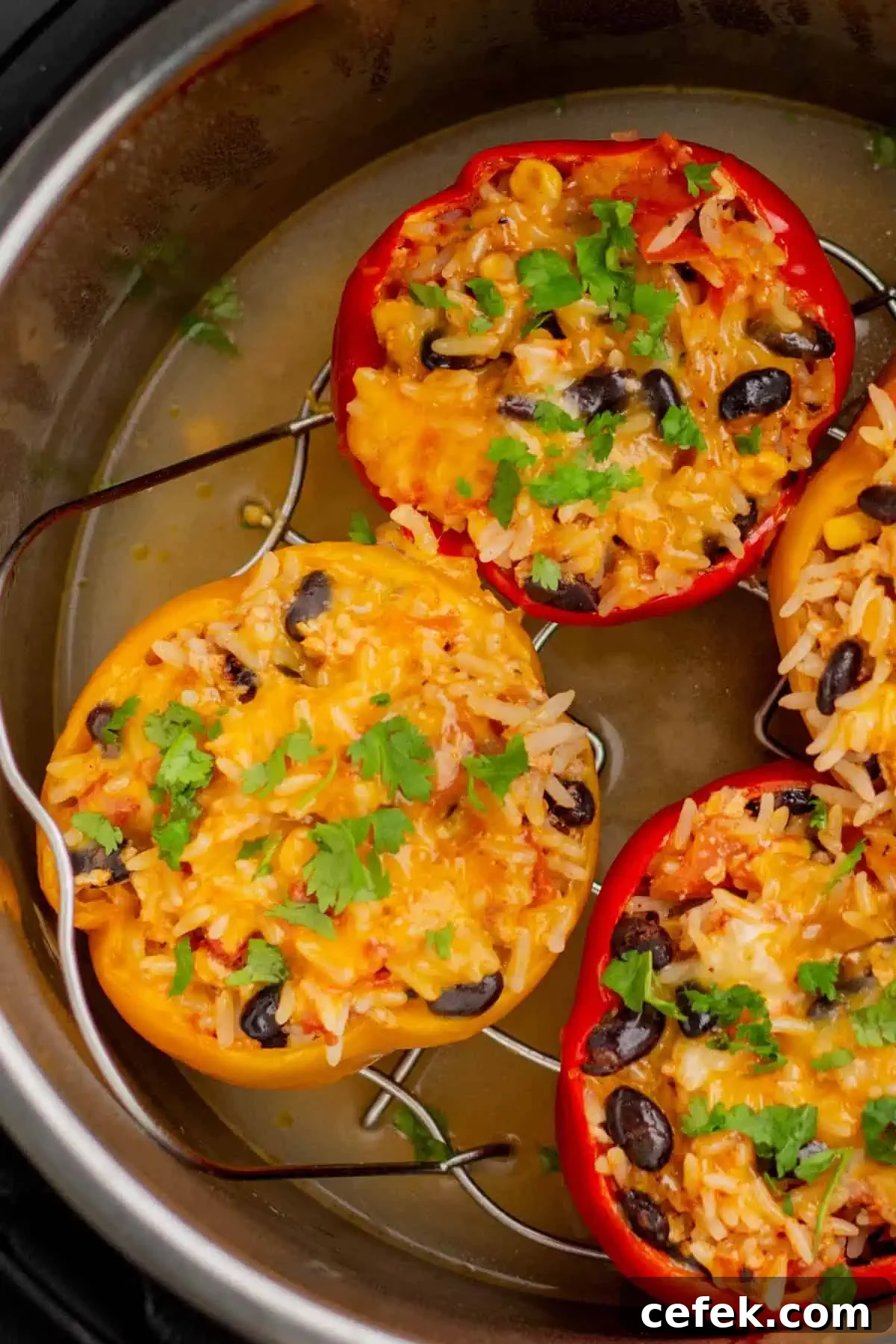 Instant pot stuffed peppers garnished with cilantro.