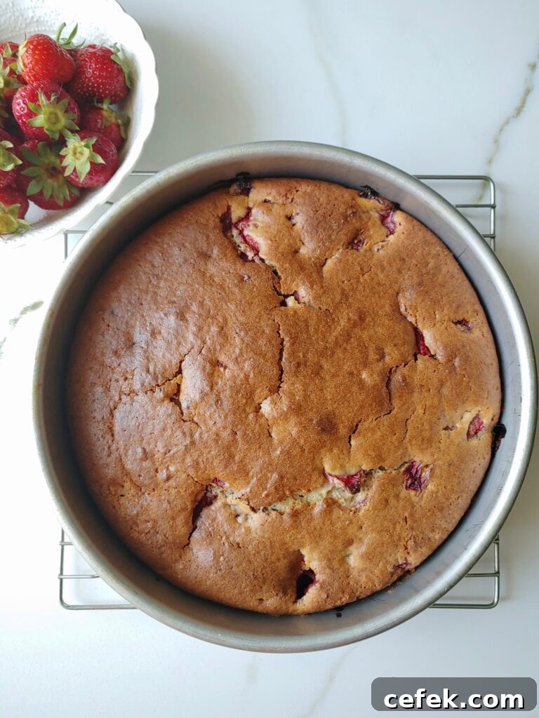 Strawberry ricotta cake with olive oil
