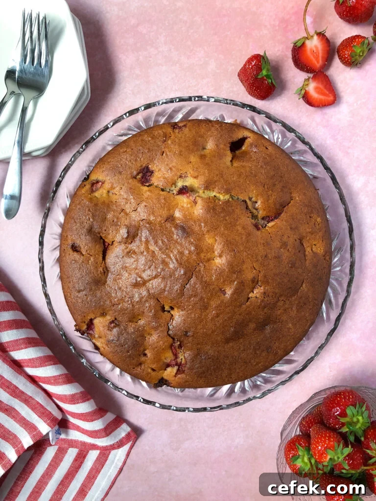 Strawberry ricotta cake with olive oil