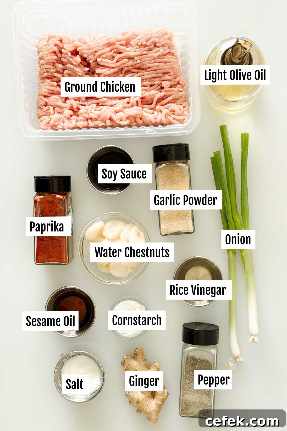 All the ingredients you need to make Asian ground chicken fillings.