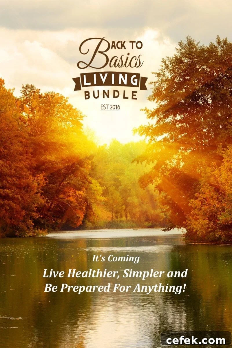 Back To Basic Living eBook Bundle via flouronmyface.com
