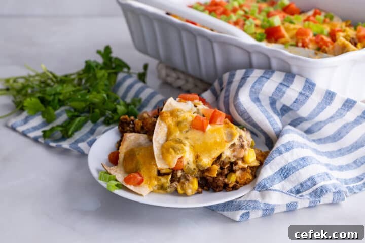 Casserole closeup