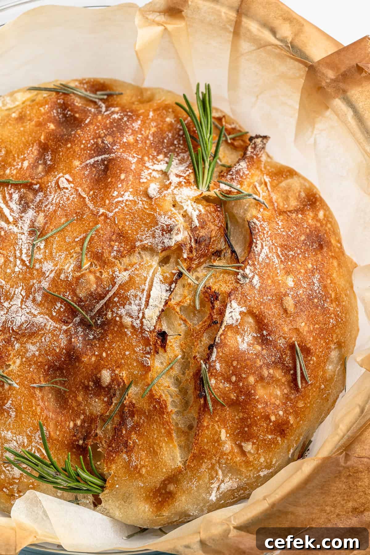 No Knead Garlic Bread
