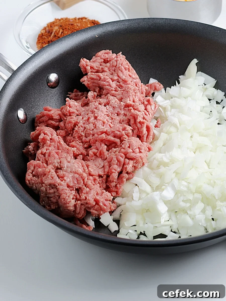 beef and onion