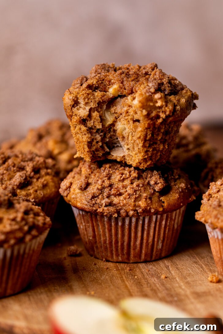 Two apple muffins topped on each other.