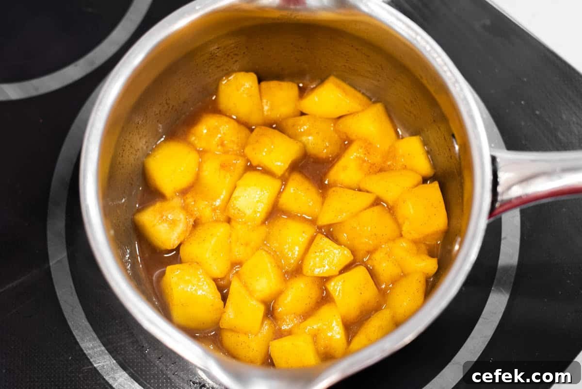 Mangoes, orange juice, sugar and spices simmering in saucepan.
