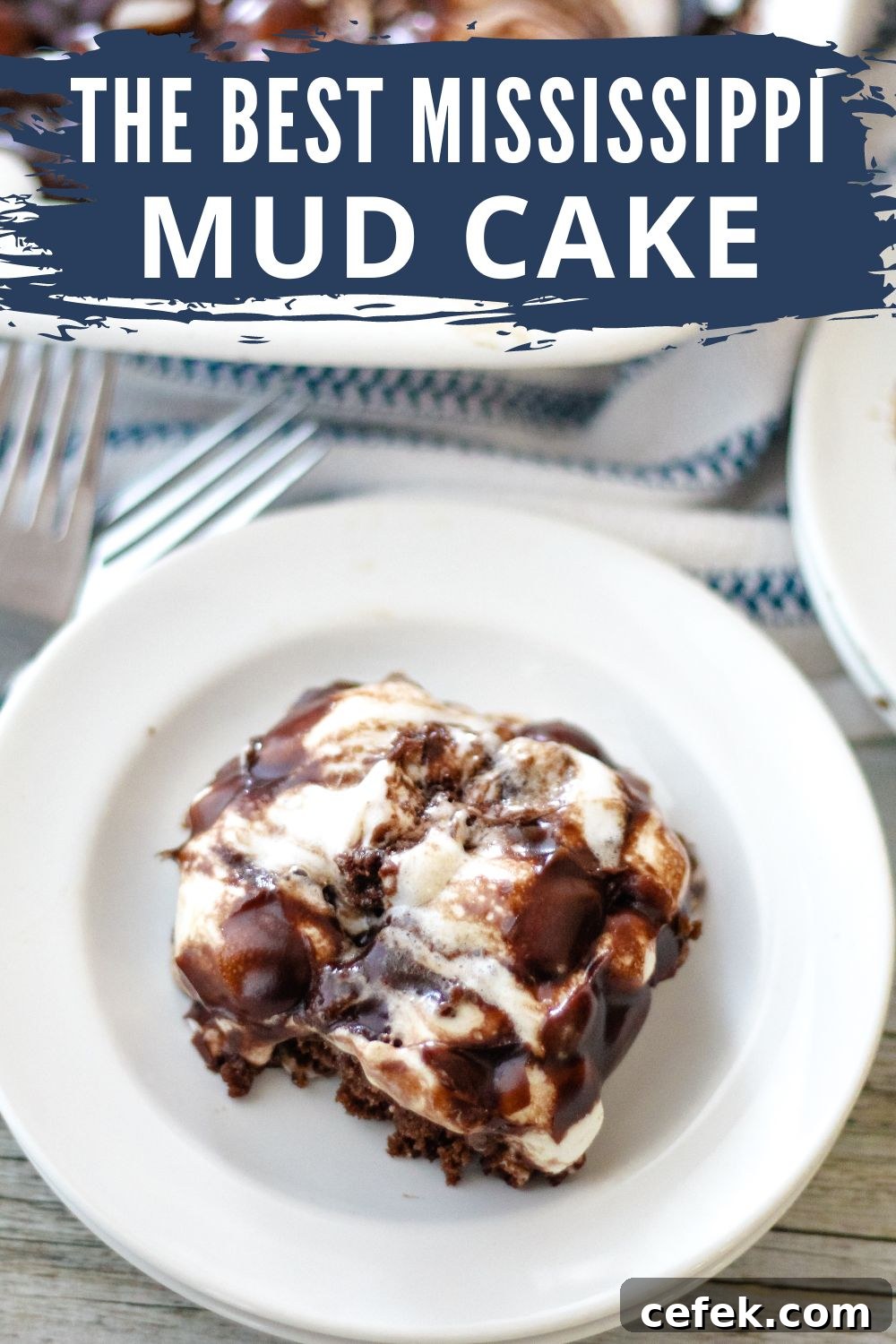 chocolate cake with marshmallows and chocolate icing plated