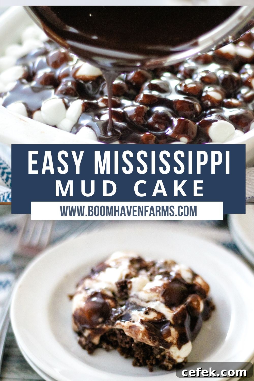 collage of mississippi mud cake 