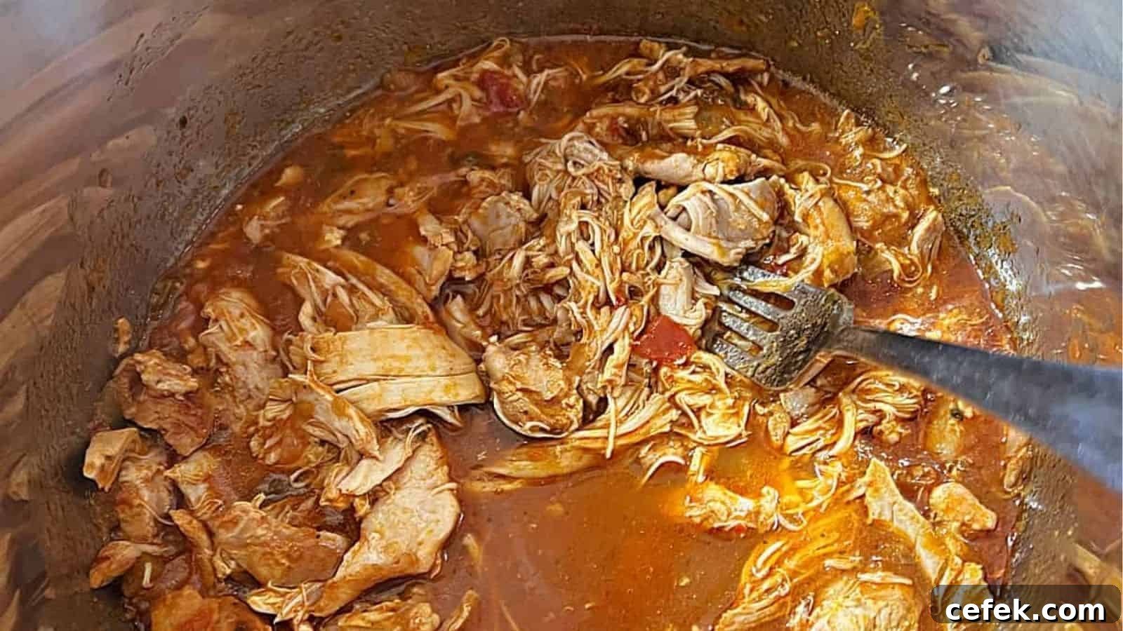 Instant Pot Salsa Chicken