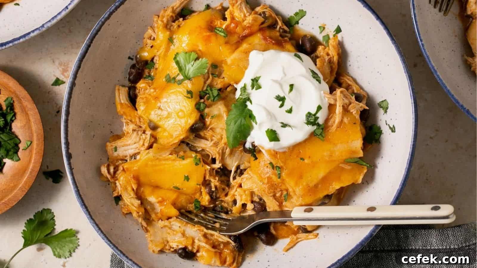 Crock-Pot Chicken Enchilada Casserole