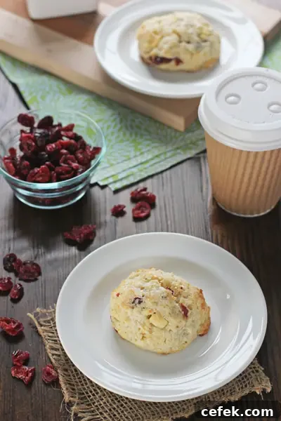 Two Cranberry White Chocolate Scones on white plates.