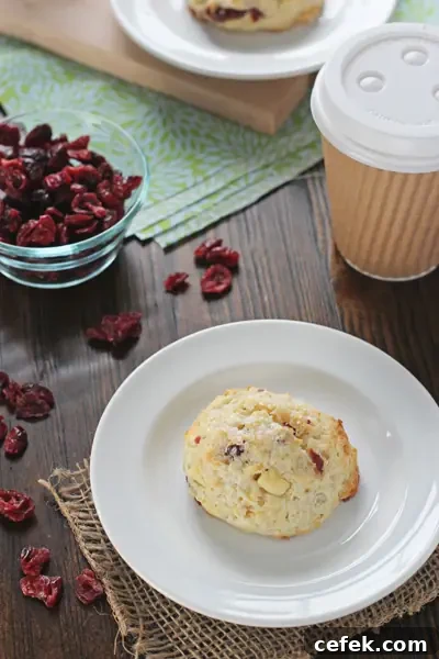 A Cranberry Orange Scone on a plate with coffee and dried cranberries to the side.