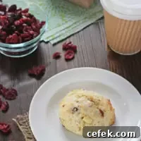 Cranberry Orange White Chocolate Scones | Cookie Monster Cooking