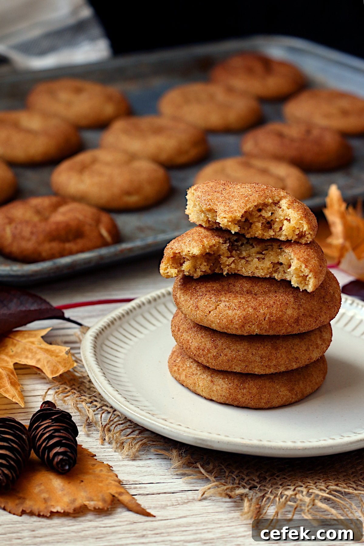 A stack of pumpkin spice snickerdoodles on a white plate