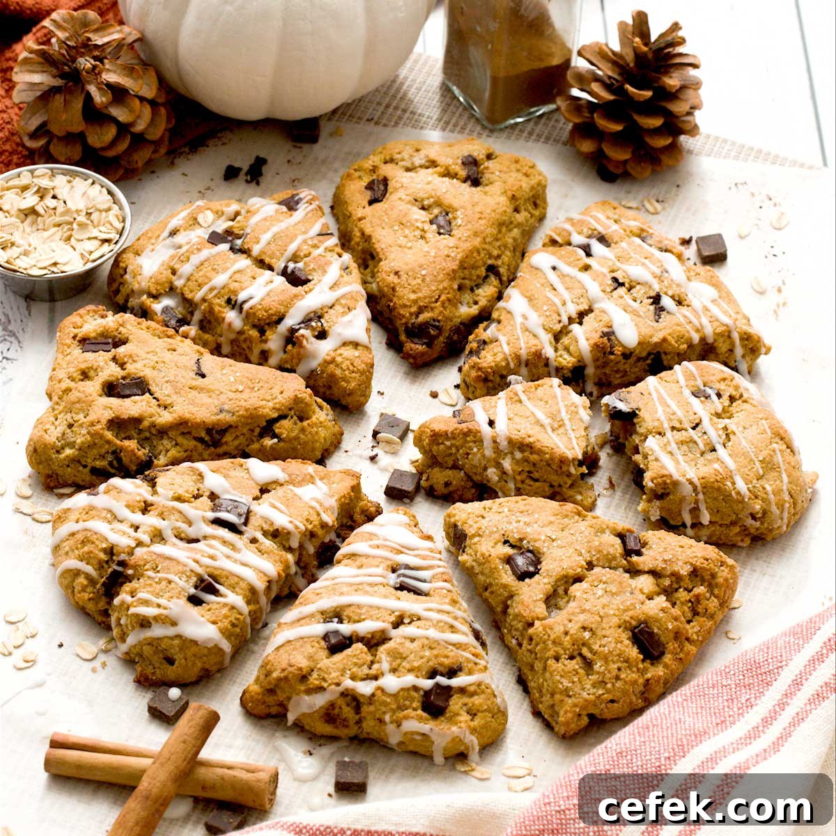 Pumpkin cottage cheese scones in a circle on parchment paper.