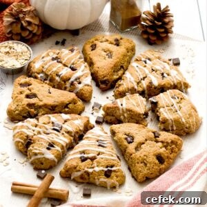 Pumpkin cottage cheese scones in a circle on parchment paper.