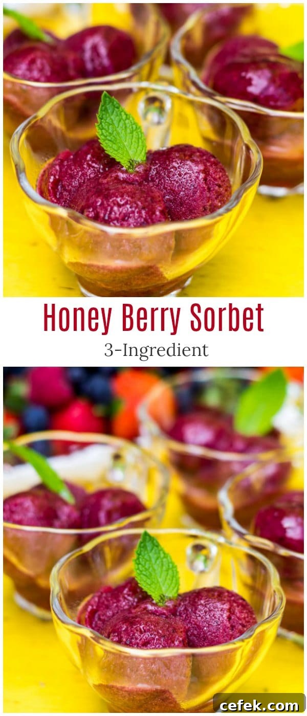 Honey Berry Sorbet - sweet and tart, absolutely refreshing summer treat with just 3 ingredients. A must try summer dessert!