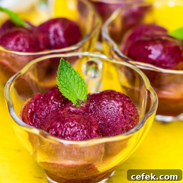 Honey Berry Sorbet - sweet and tart, absolutely refreshing summer treat with just 3 ingredients. A must try summer dessert!
