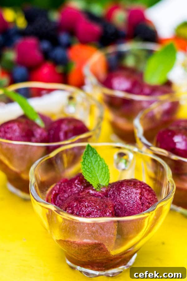 Honey Berry Sorbet - sweet and tart, absolutely refreshing summer treat with just 3 ingredients. A must try summer dessert!
