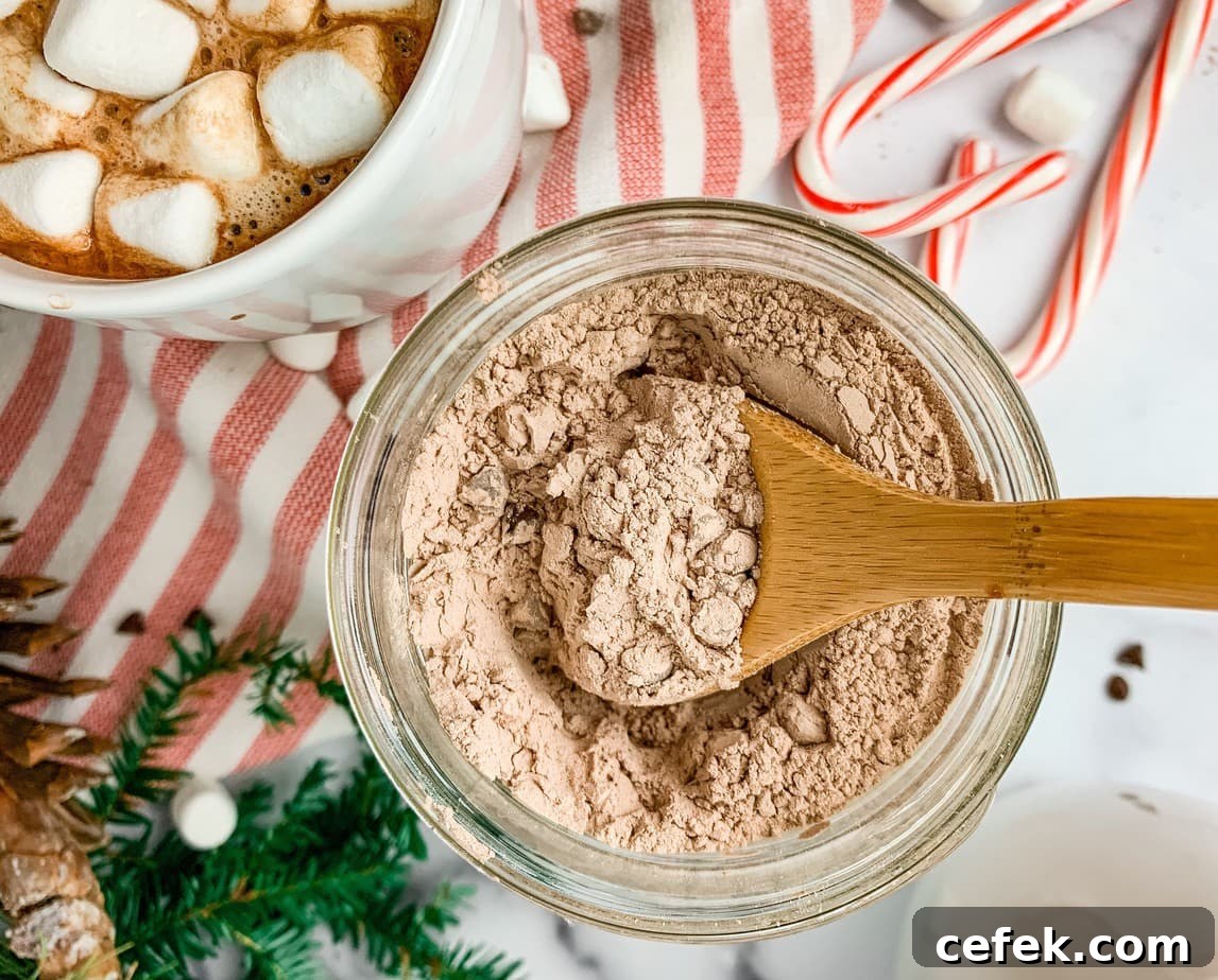 Hot Chocolate Mix In a Jar Made Without Powdered Milk