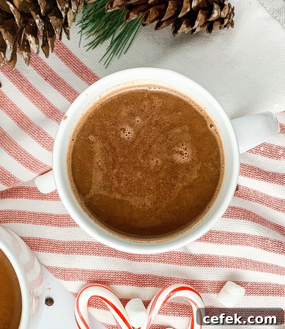 How to make a cup of hot chocolate with homemade hot chocolate mix
