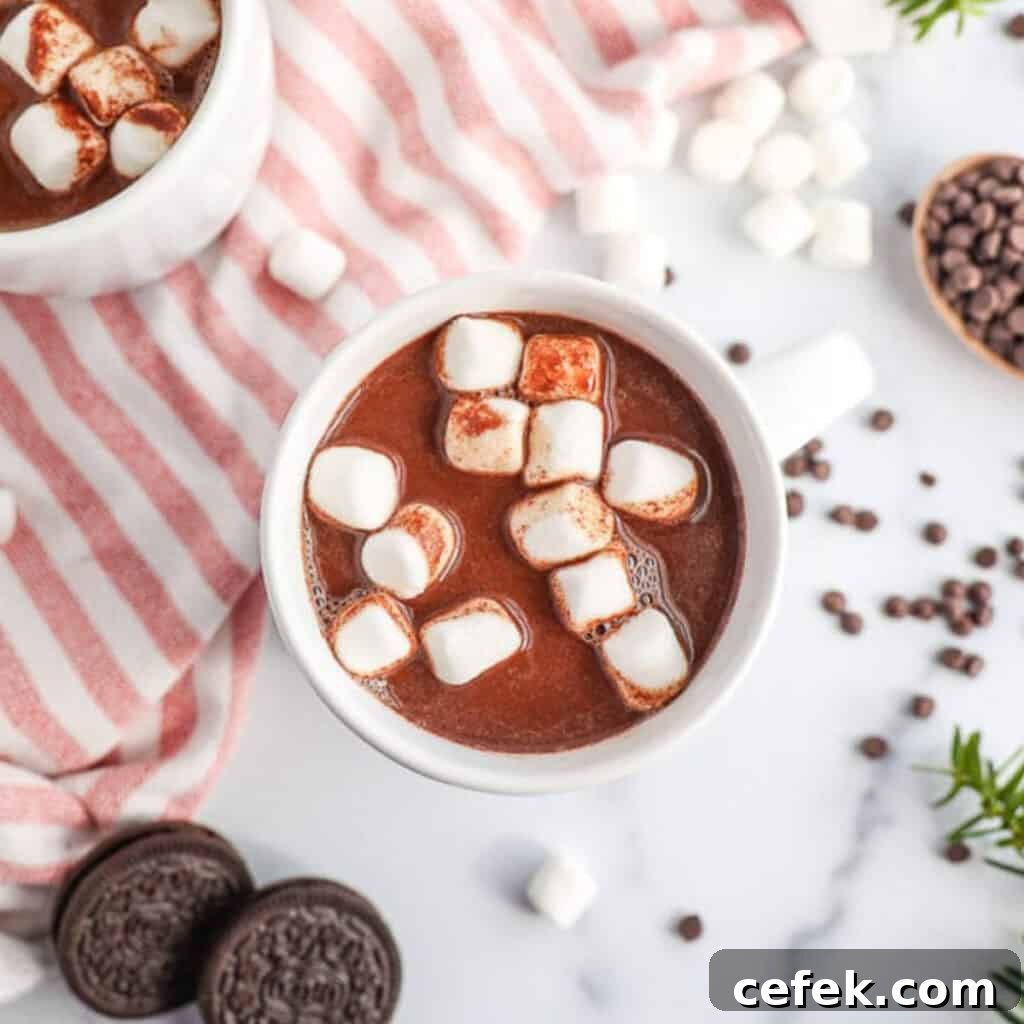 A top view of hot chocolate with marshmallows. Chocolate cookies, marshmallows and chocolate chips are lying around the mug.