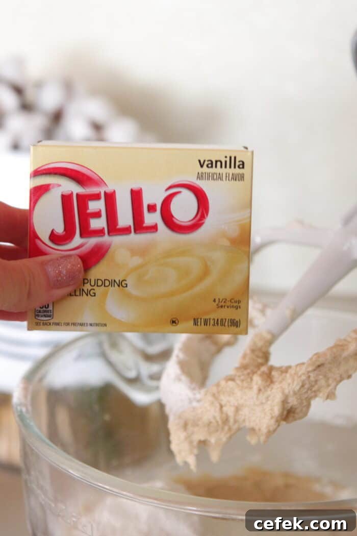 holding a box of instant vanilla pudding mix