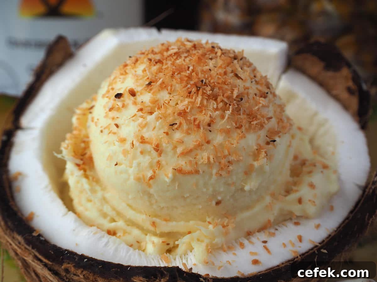 Scoop of pina cola ice cream sprinkled with toasted coconut in half a coconut, with pineapple and coconut rum bottle in background.