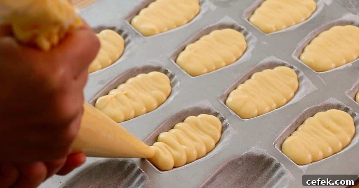 piping madeleine batter in a madeleine pan