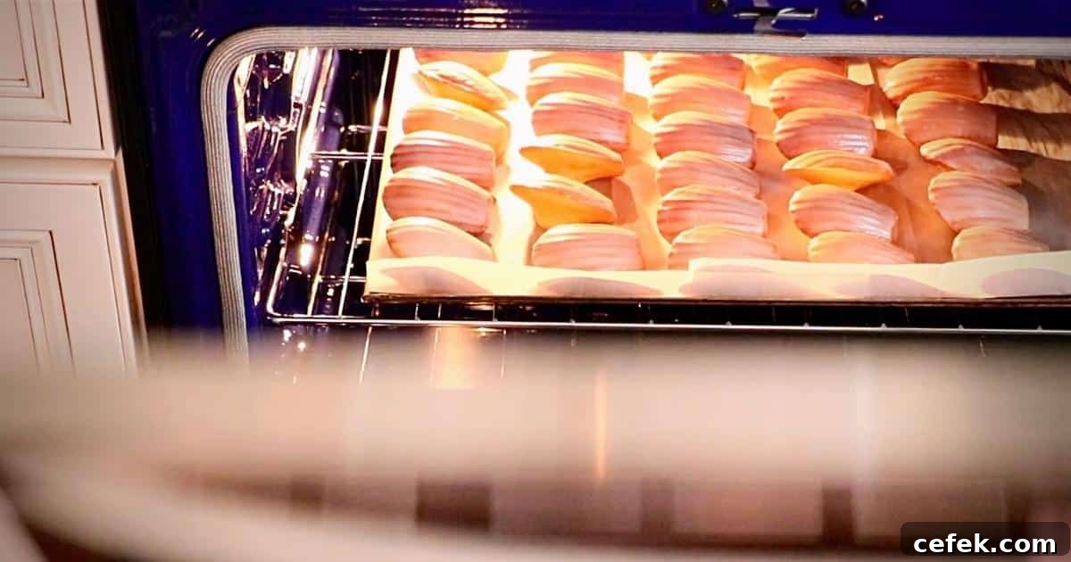 lemon madeleines in the oven