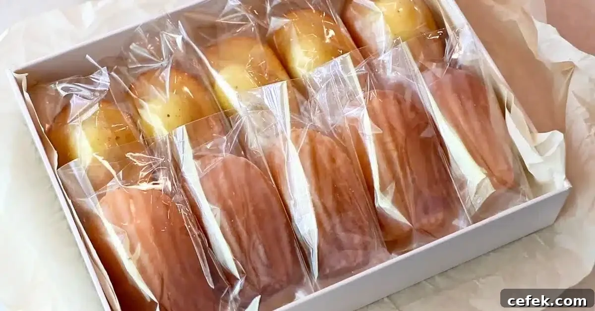 homemade madeleines wrapped as a gift in a box