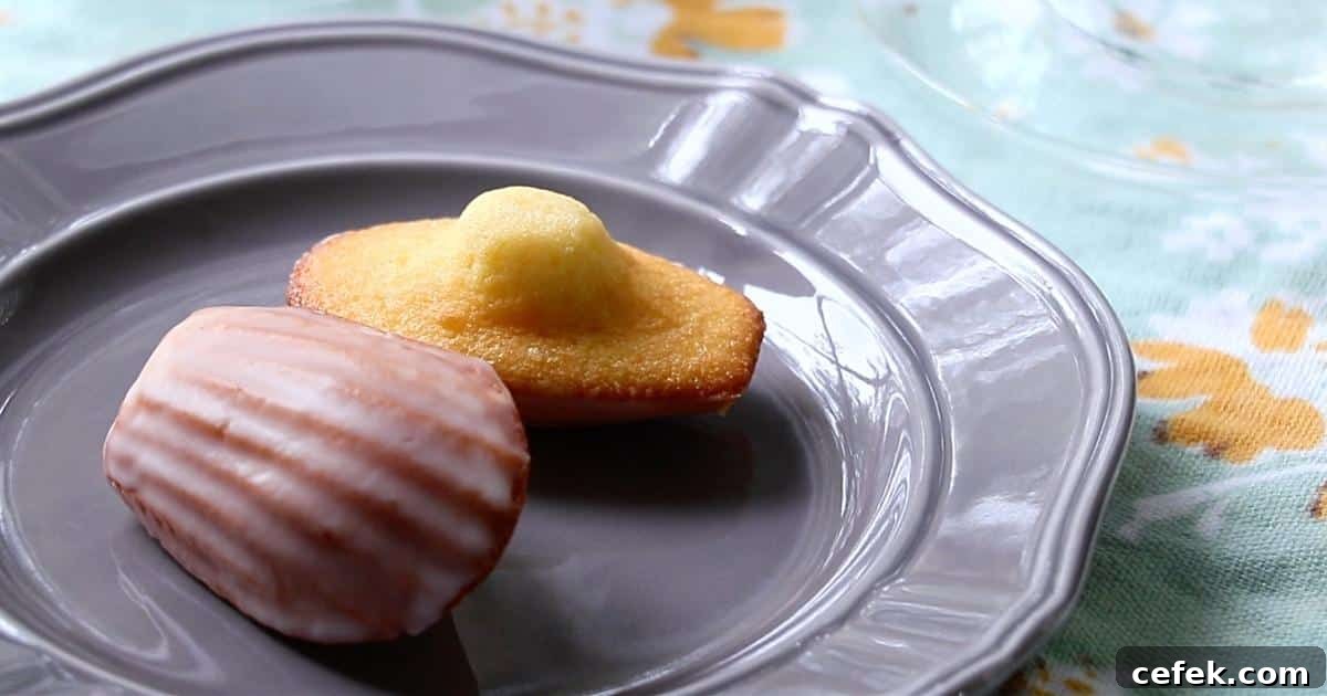 2 lemon madeleines on a gray plate