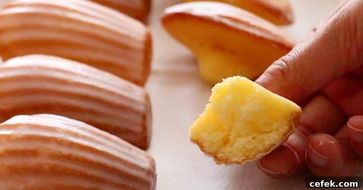 the texture of lemon madeleines