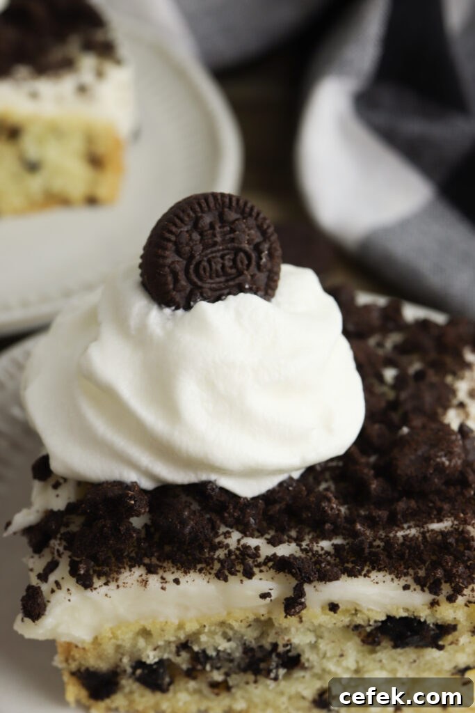 Oreo crumbs close-up
