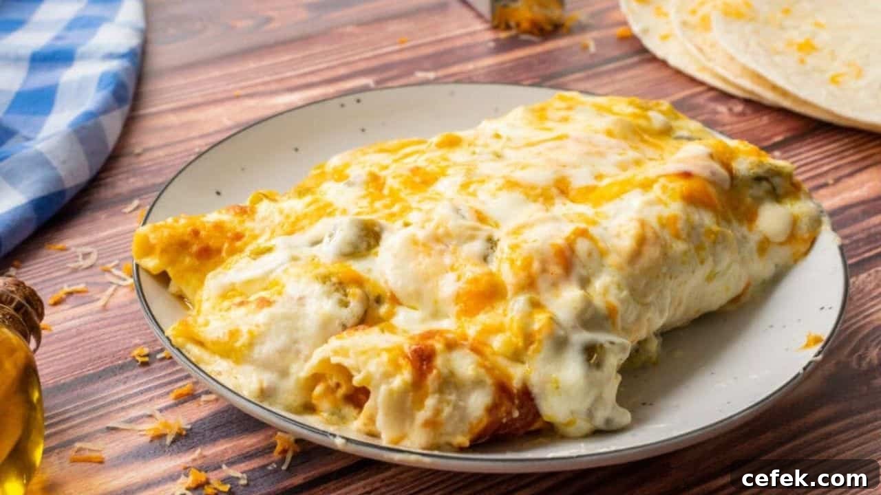 Sour Cream Chicken Enchiladas