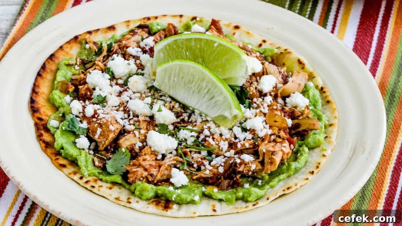 Instant Pot Chicken Tinga