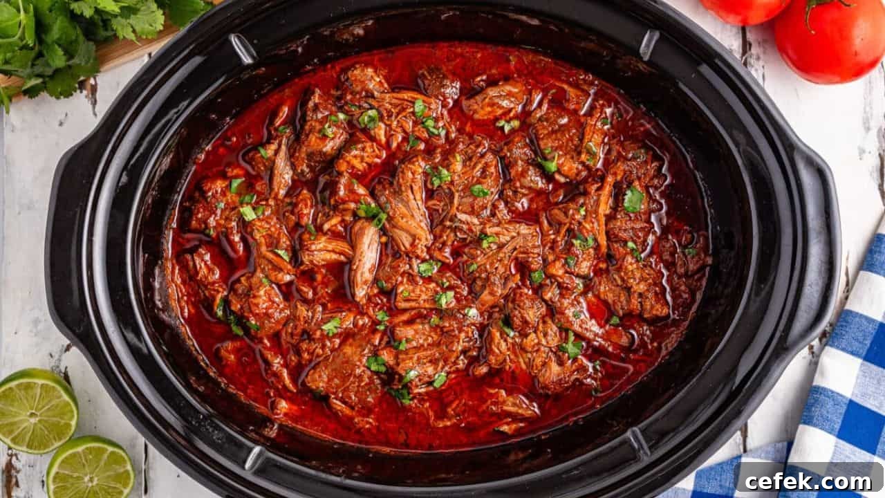 Slow Cooker Birria
