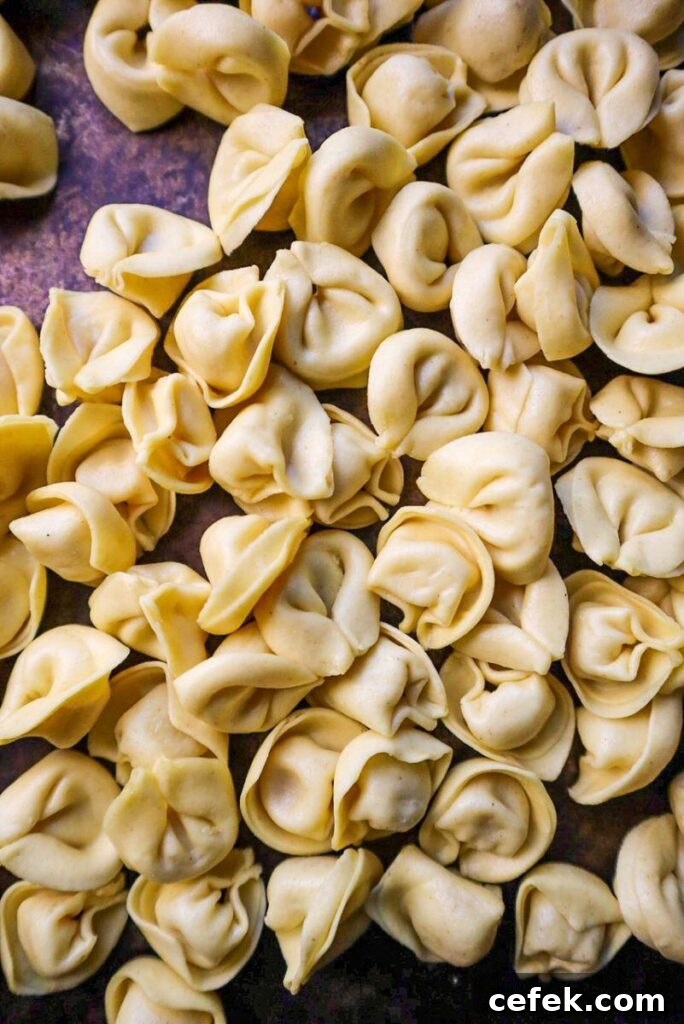 Refrigerated Cheese Tortellini