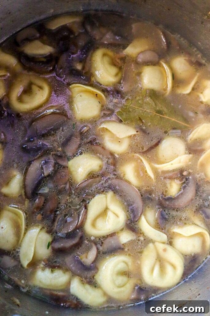 Tortellini & Mushrooms in Broth
