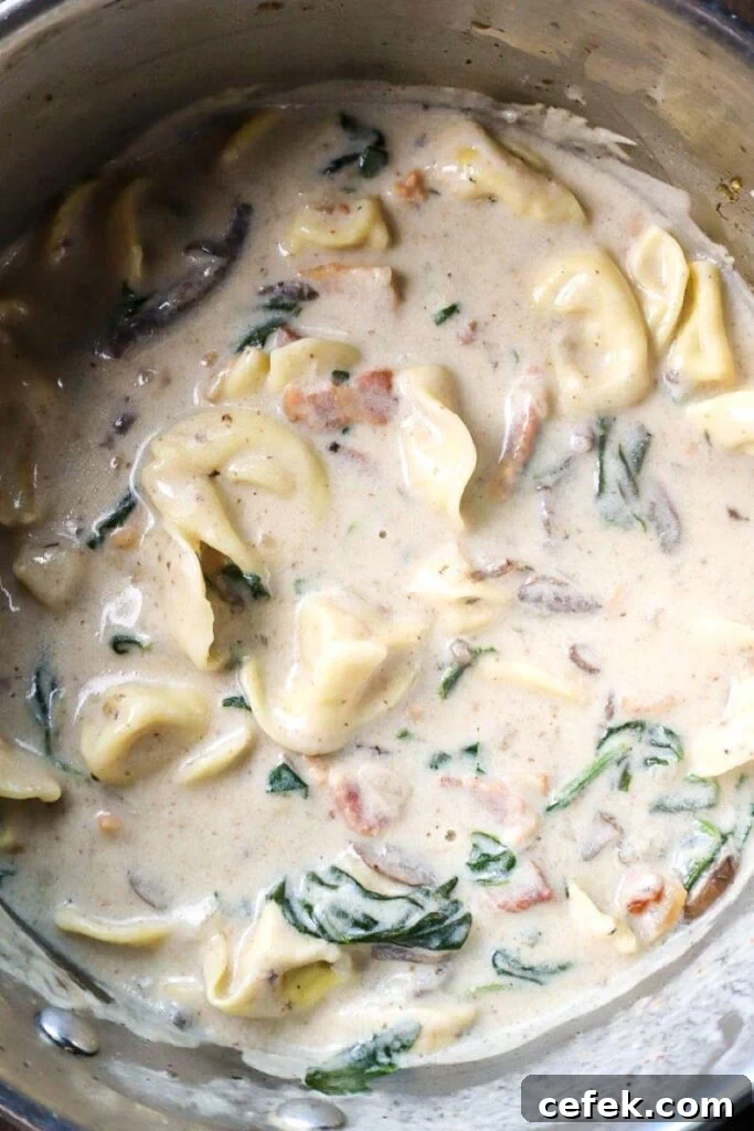 Creamy Tortellini Soup
