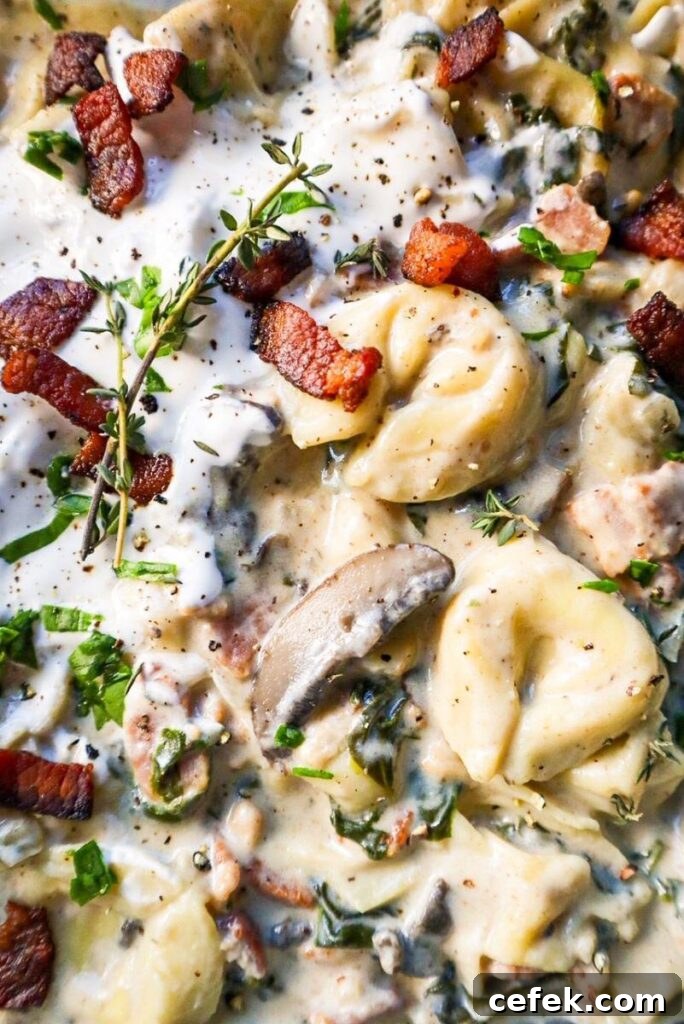 Creamy Tortellini Soup Garnished with Bacon, Parmesan, and Herbs