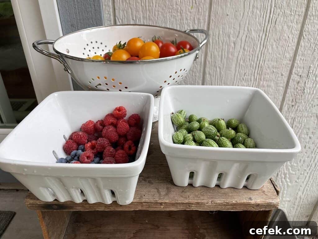 Two ceramic berry baskets, one filled with raspberries, one with cucamelons, and the other with tomatoes. 