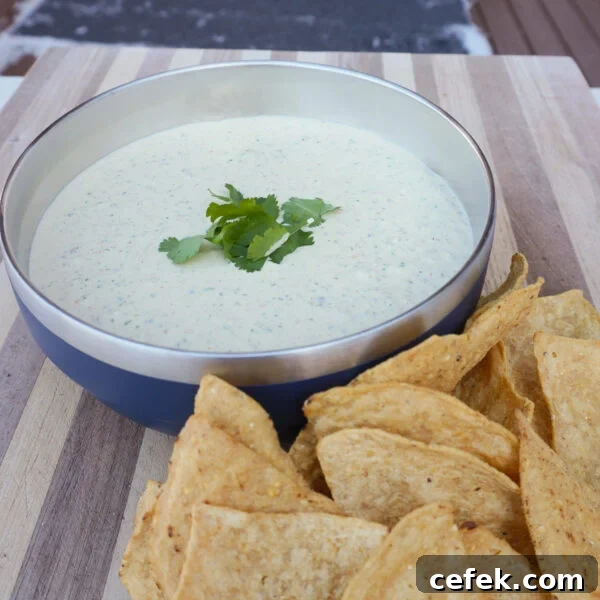 Smoked Jalapeno Cheese Dip